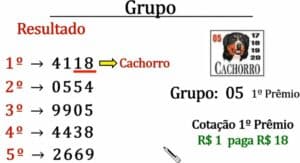 Como jogar em Duque de Grupo - JB Premiado